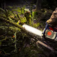 article image for Chainsaw care and troubleshooting tips