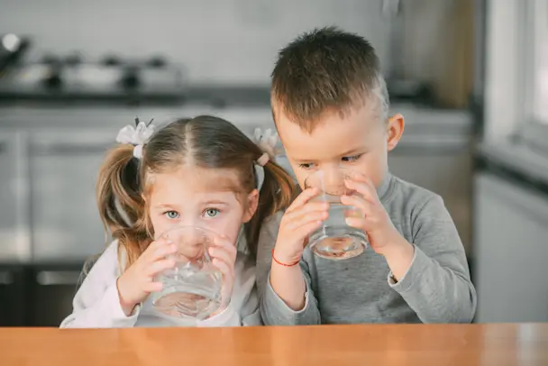sears parts direct image for How to install an inline refrigerator water filter video