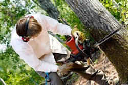 How to prevent chainsaw injuries