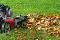 article image for Using your lawn mower to handle fall leaves: mulching vs bagging