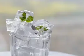 How to replace an inline refrigerator water filter