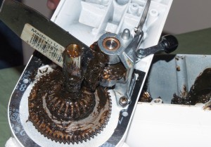 PHOTO: Lubricate the worm gear.