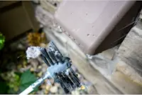 article image for Why your dryer keeps tripping the breaker (and how to fix it)