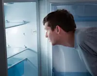 article image for Six common refrigerator parts that you can replace yourself