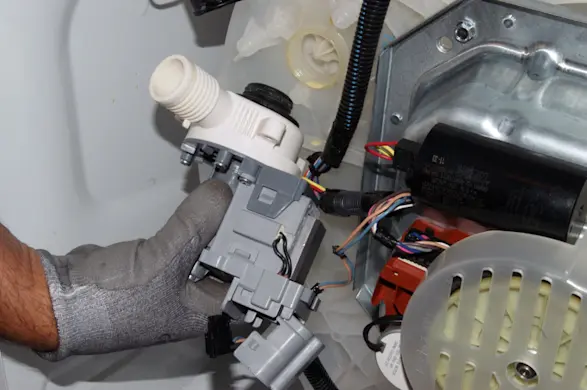PHOTO: Remove the drain pump.