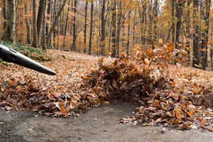 MERCH-leaf-blower-parts