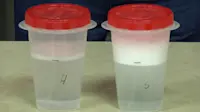 article image for How to check water hardness and water softener tips video