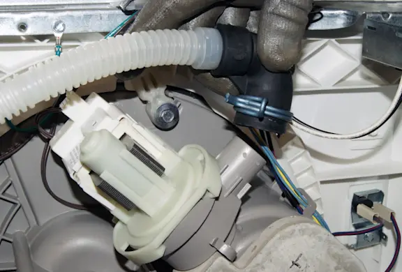 PHOTO: Disconnect the hose from the drain pump.