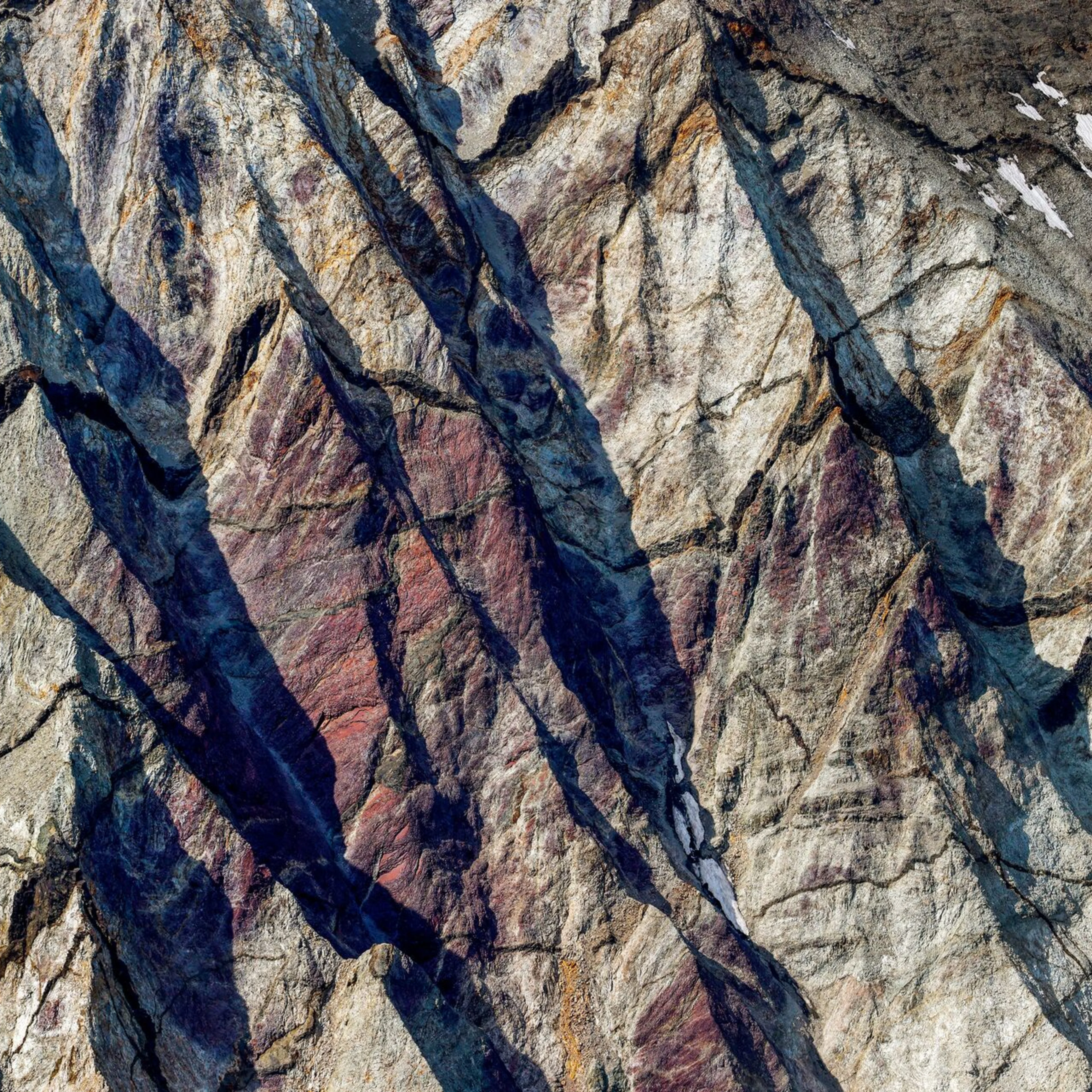 Large-Rax - Stefnir C1A8981 (1)