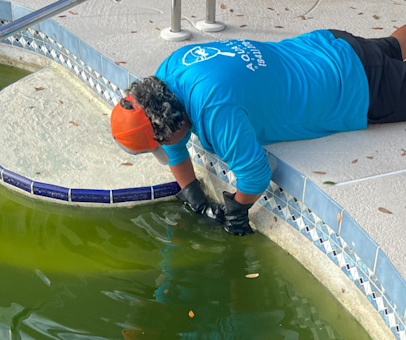 The Importance of Regular Pool Inspections: What You Need to Know
