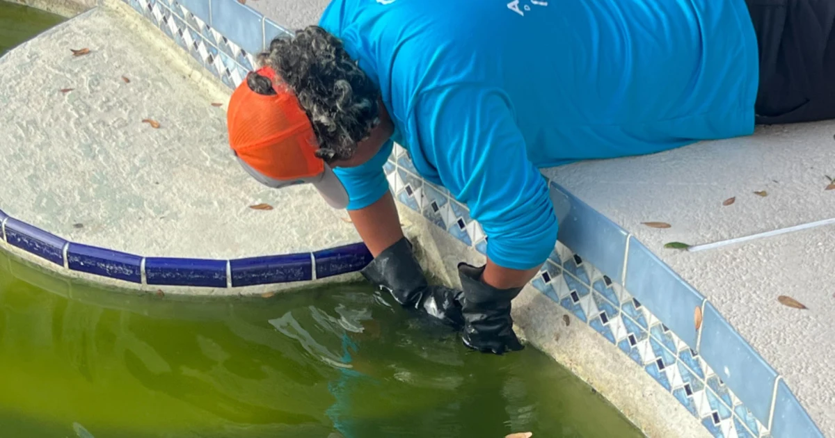 The Importance of Regular Pool Inspections: What You Need to Know