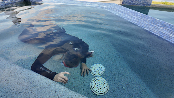 The Case Opens: A Pool That Looks Too Perfect