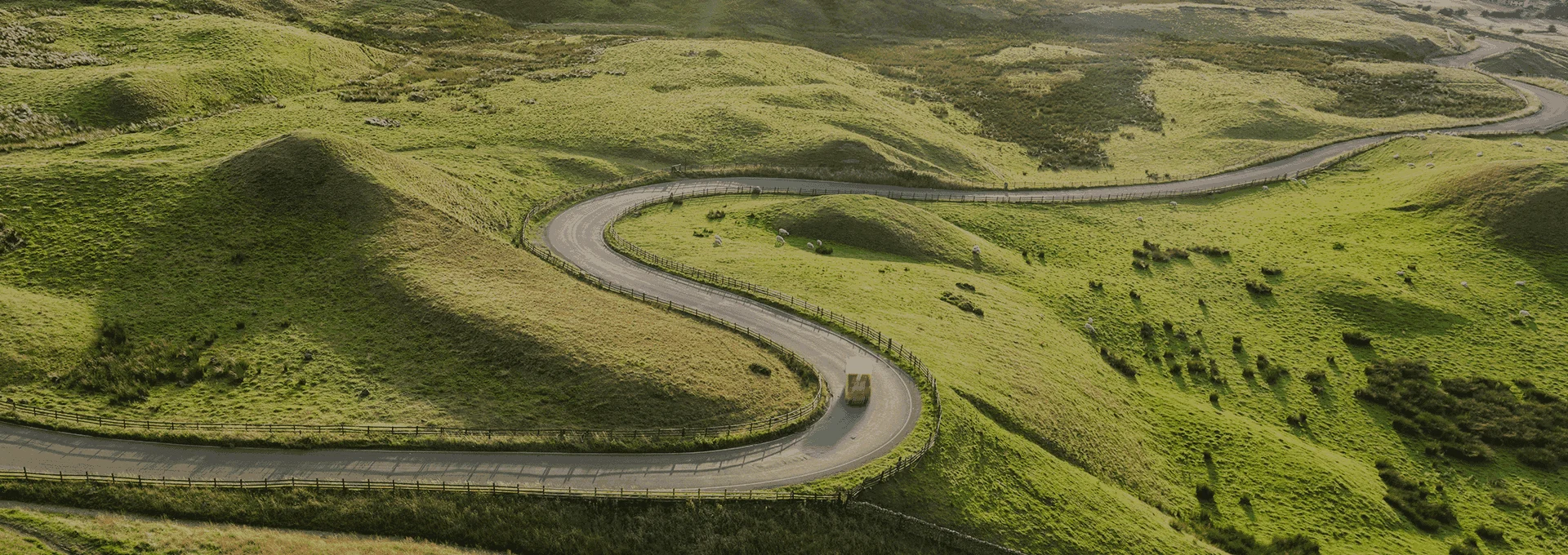 Road in nature