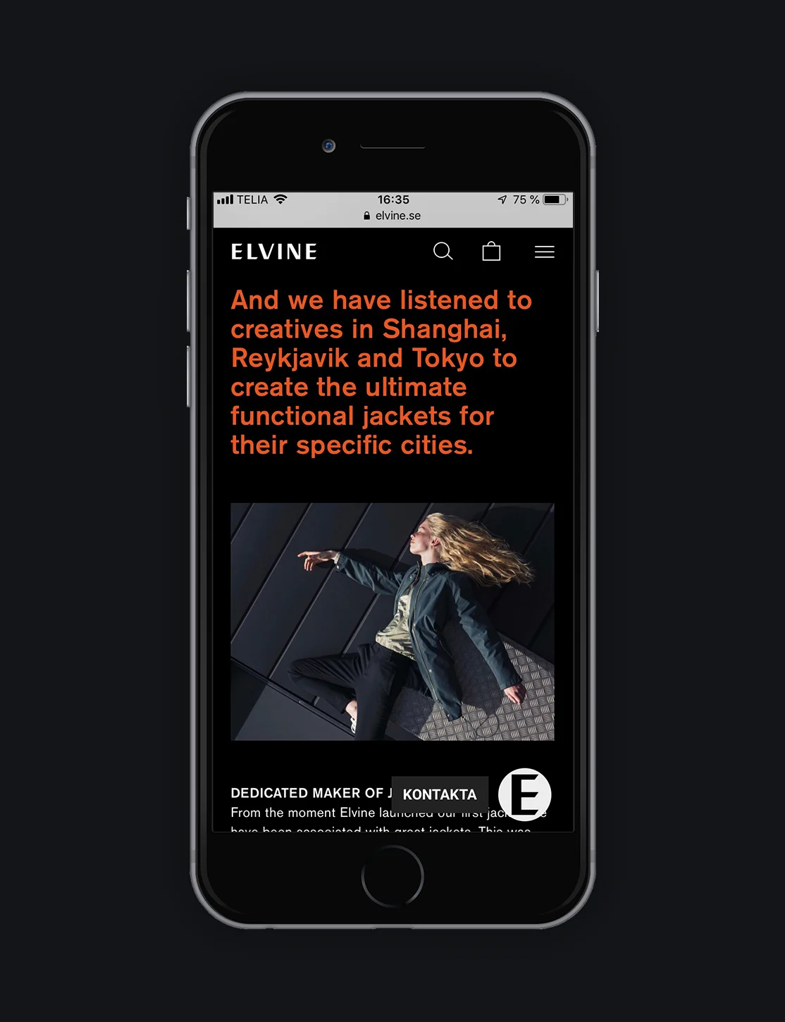 Elvine - Idea image