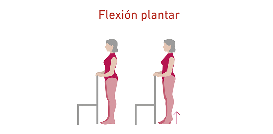 15_imagen felxion plantar FLEXION PLANTAR-TOPIC ROW.jpg