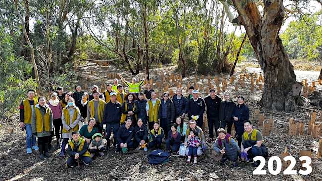 Tree Planting 2023