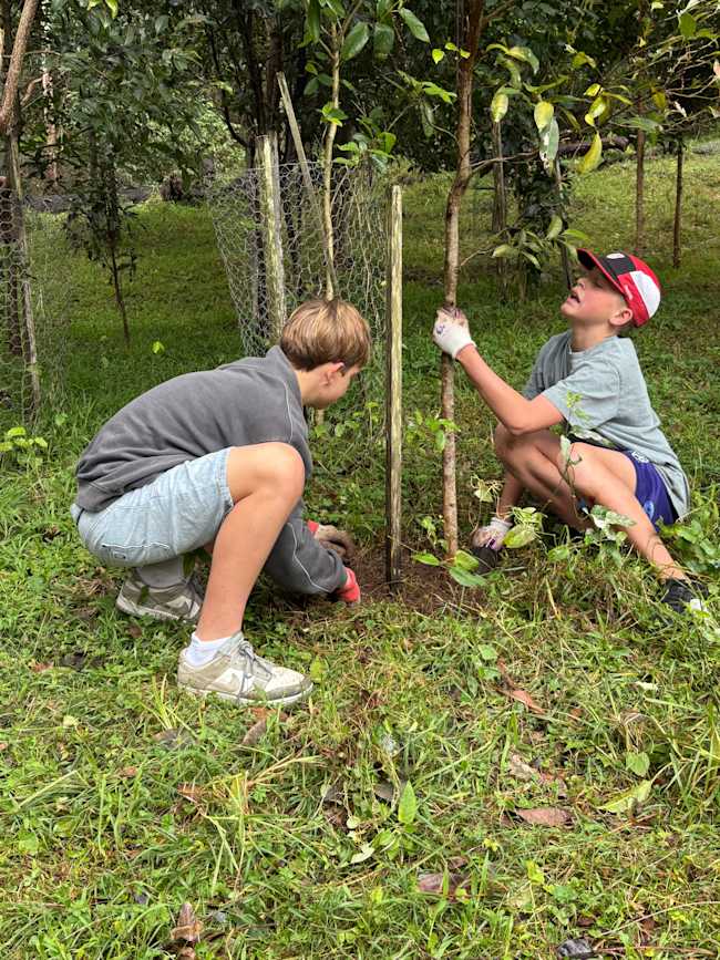 Students from Kiama High putting in some hard yakka to get trees in the ground. Image: Paul Berry/Kiama High School