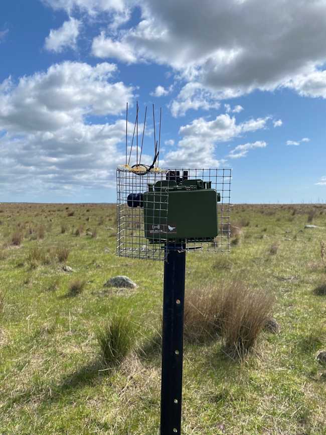 Song meters AI tool (Image: Chris Hartnett/Zoos Victoria)