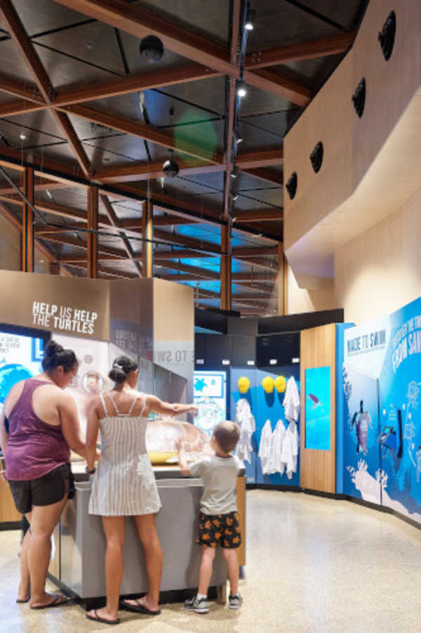 Mon Repos Turtle Centre interior