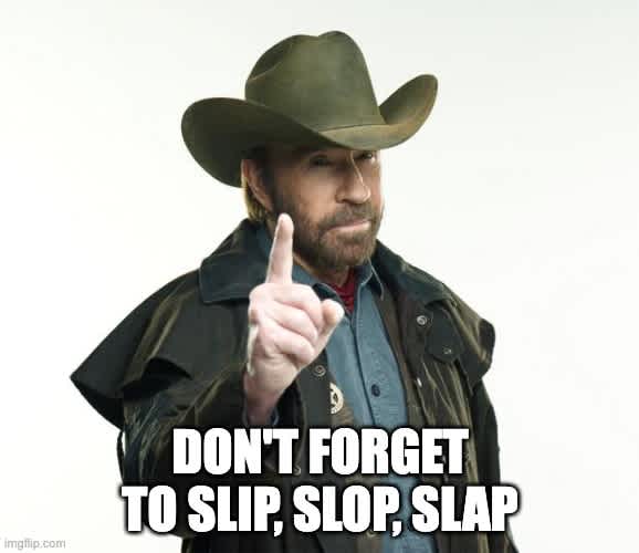 Chuck Norris slip slop slap
