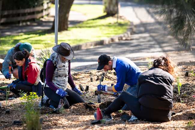 National Tree Day HR-130