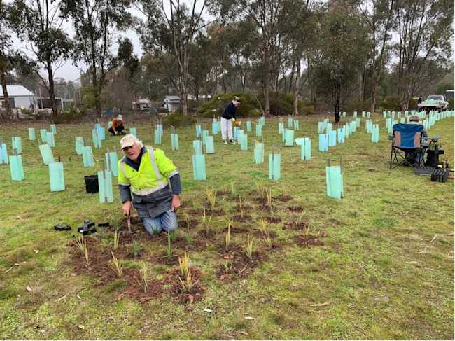 Gold Leaf Reserve, Huntly1