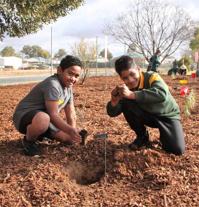 Euston Public School Tree Planting 2019