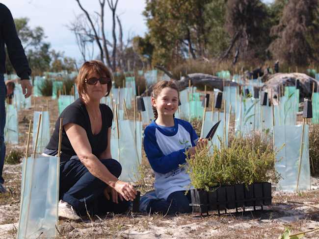 Whiteman Park Planting