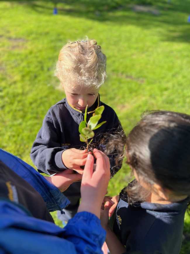 Planet Ark's Seedling Bank beneficiary