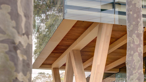 Macquarie University Clinical Education Building exterior