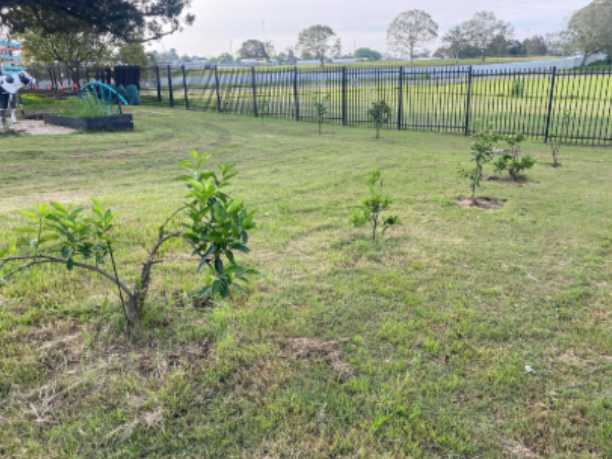 St Joseph's Primary School Image 2