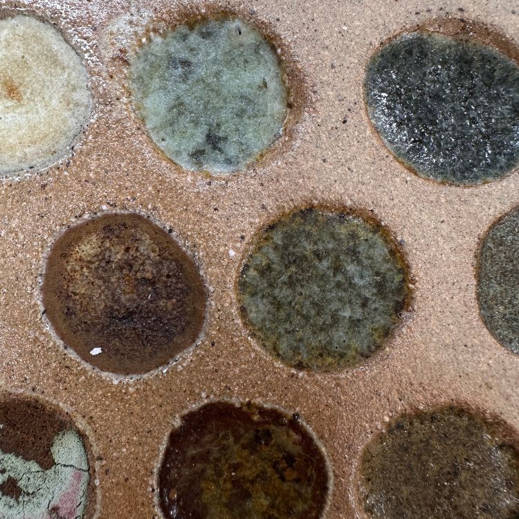 A close-up of a testing plate with multiple test substances of differing colours