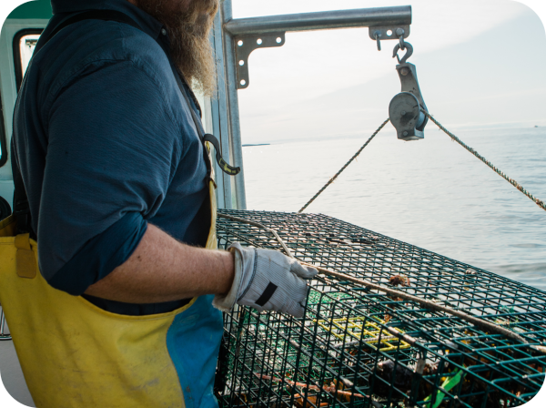 An image of a lobsterman as he works on a lobster trap on the side of his boat.