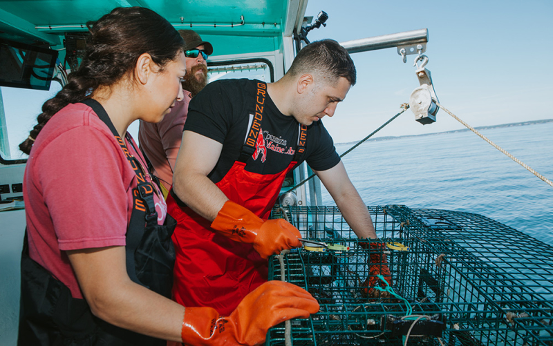 A photo of our Trenton Philly owners on a lobster boat in Maine, working to unload and bait a lobster trap.