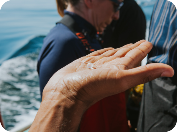 An image of an outstretched hand holding up a pearl on board a lobster boat.