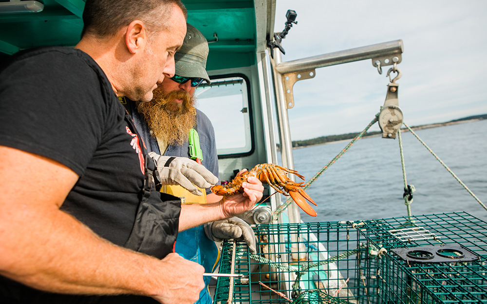 Pittsburgh, PA Cousins Maine Lobster