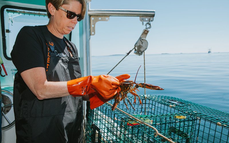 A photo of our Columbus franchisee on board a lobster boat, measuring a lobster for sustainability.