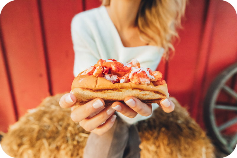 About Us Cousins Maine Lobster