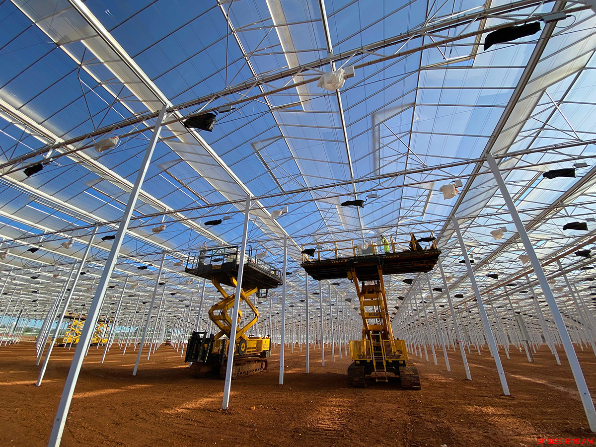 NL Havecon greenhouse customer story