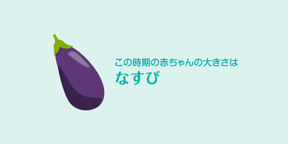 Your baby is the size of an eggplant