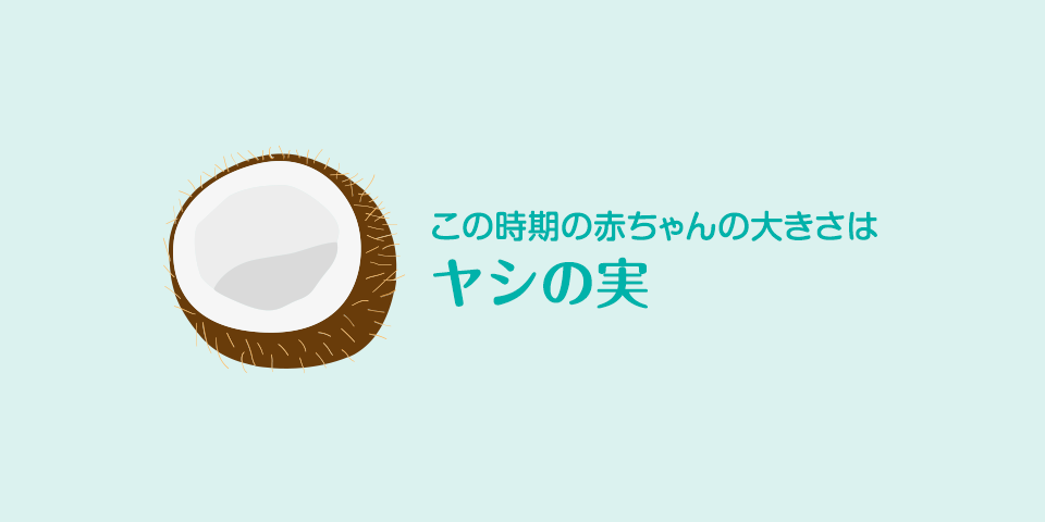 妊娠31週 おなかの張り具合と症状および胎児の発育 パンパース