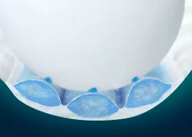 独自!さらさら風通しライン