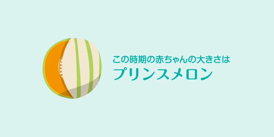 妊娠34週目 おなかの張り具合と症状および赤ちゃんの発育 パンパース