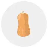 butternut squash