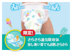 限定!さらさら通気吸収体