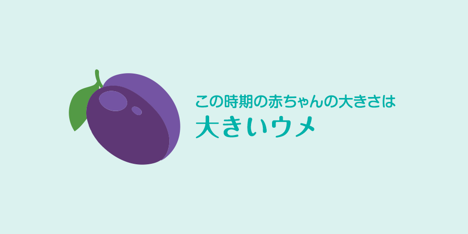 妊娠13週 おなかの張り具合と症状 パンパース