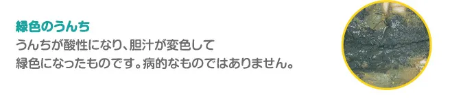緑色のうんち