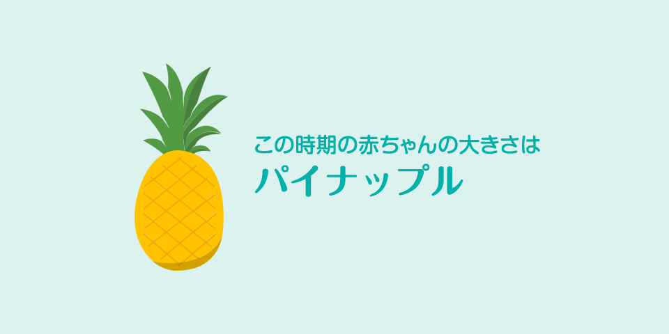 妊娠33週目 兆候と妊娠33週目の赤ちゃんの成長 パンパース