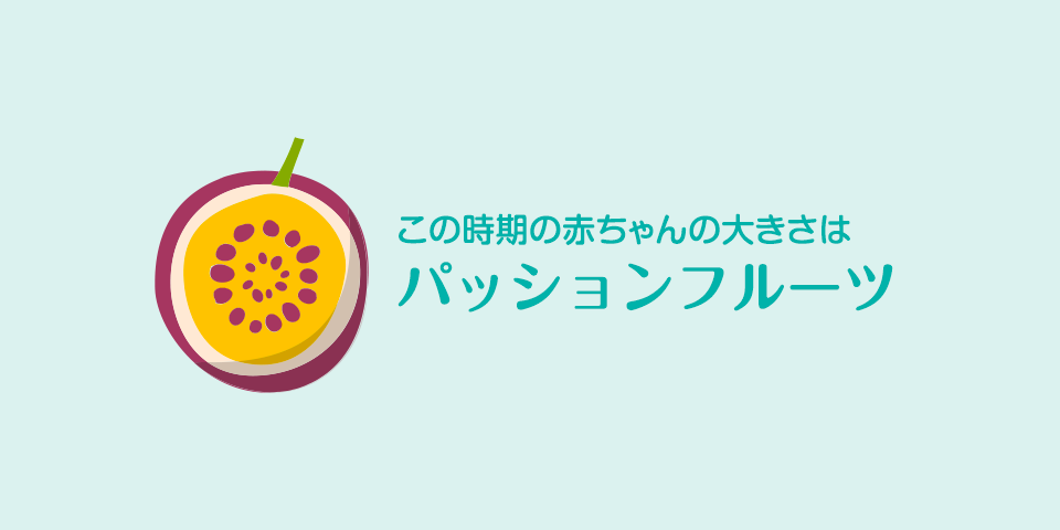 妊娠12週 症状 おなかの張り具合および胎児の発育 パンパース