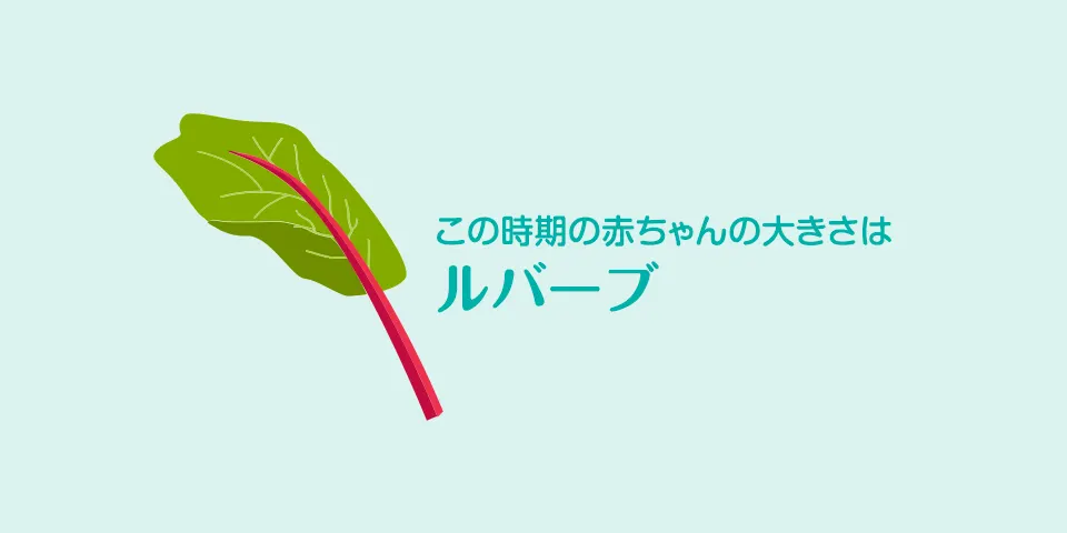 妊娠38週目 おなかの張り具合と症状および赤ちゃんの発育 パンパース